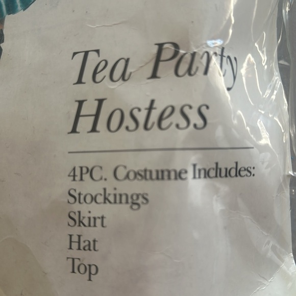 Tea Party Hostess Costume - Picture 3 of 5